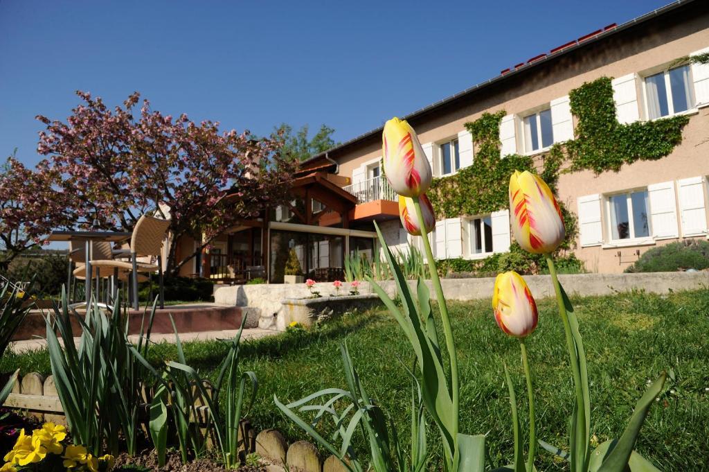 Logis Hotel Des Grands Vins Fleurie Exterior photo